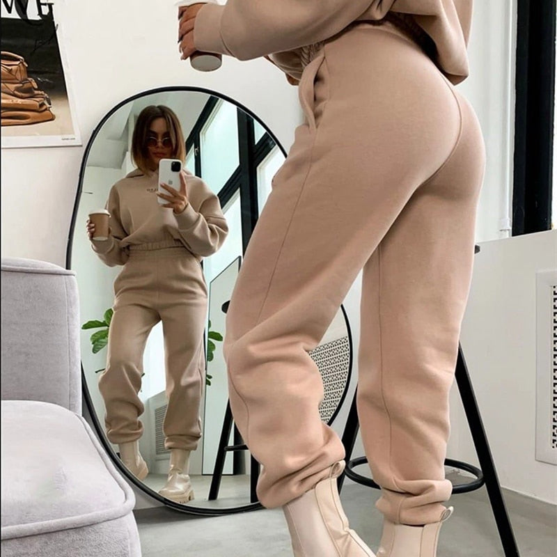 Warm Tracksuit Sports Women Two Piece Set 2022 Leisure Solid Long Sleeve Hooded Top Elastic Waist Pant Woman Winter Suit Jogging